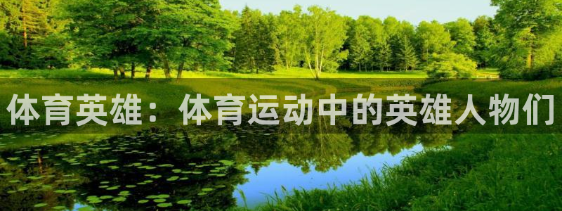 乐视体育高管