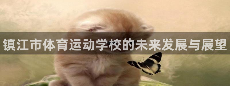 乐视体育经纪公司：镇江市体育运动学校的未来发展与展望