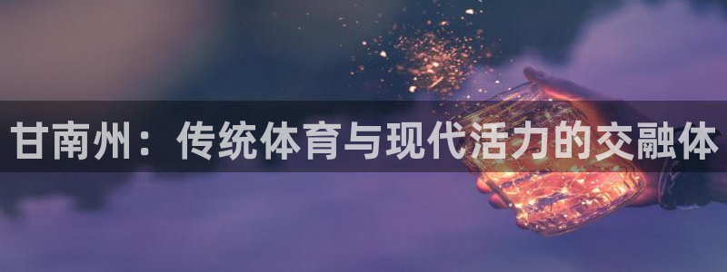 乐视体育公司