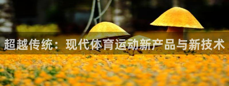 乐视体育于航