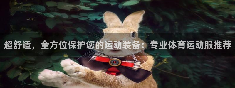 乐视体育黄健翔