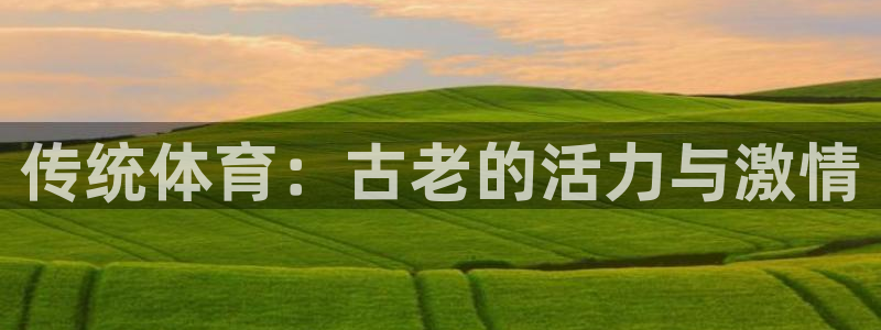 乐视体育会员