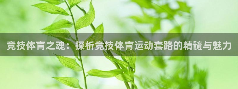 乐视体育美女主持人名单：竞技体育之魂：探析竞技体育运动套路的精髓与魅力