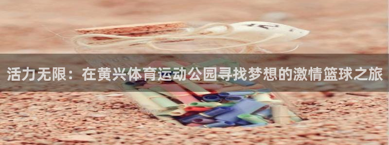 乐视体育融资