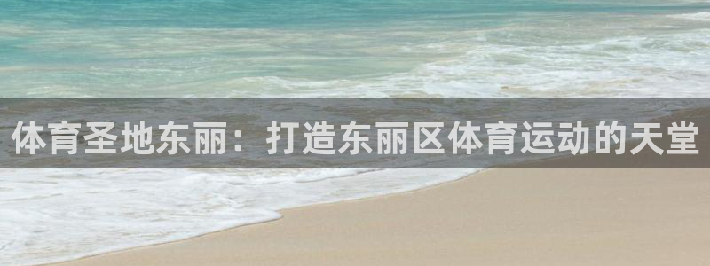 乐视体育经纪卢山