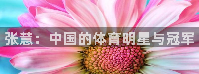乐视体育美女主持人名单