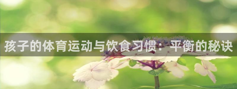 乐视体育篮球比赛直播