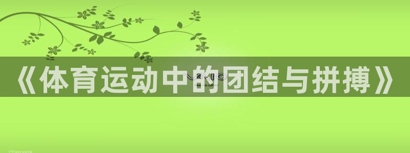 乐视体育篮球比赛直播